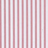 Punch Cotton Stripe