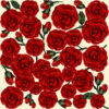 Red Roses JO Cotton Signature