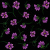 Violets on Black JO Cotton Signature